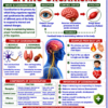 file_0000000043208211a49e488152741dab Class 10 Biology Colourful Notes PDF | CBSE & Bihar Board | Complete NCERT Based Study Notes
