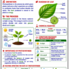 file_000000005530820793c7d8f9064354a7 Class 10 Biology Colourful Notes PDF | CBSE & Bihar Board | Complete NCERT Based Study Notes