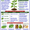 file_0000000060088211a629942a21c78864 Class 10 Biology Colourful Notes PDF | CBSE & Bihar Board | Complete NCERT Based Study Notes