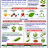 file_00000000658c81fd81a5ff6055324913 Class 10 Biology Colourful Notes PDF | CBSE & Bihar Board | Complete NCERT Based Study Notes