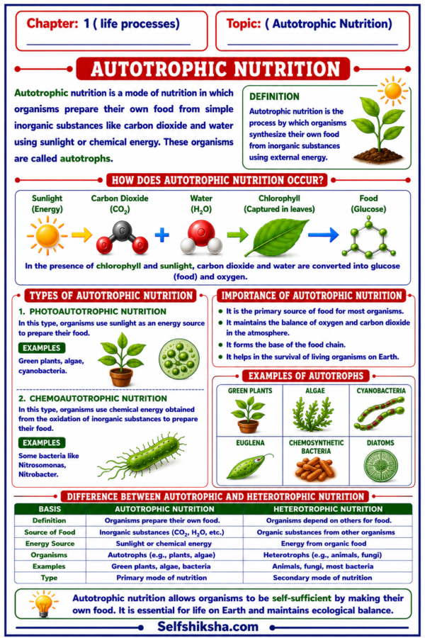 file_00000000658c81fd81a5ff6055324913 Class 10 Biology Colourful Notes PDF | CBSE & Bihar Board | Complete NCERT Based Study Notes