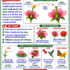 file_00000000772c81faba18a9a8bbe955eb Class 10 Biology Colourful Notes PDF | CBSE & Bihar Board | Complete NCERT Based Study Notes