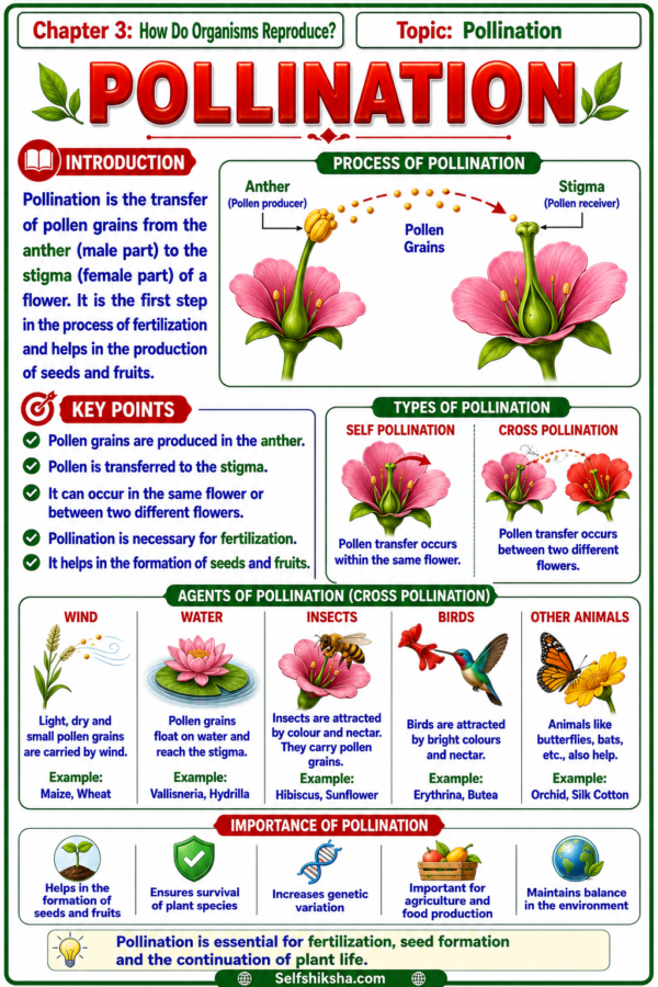 file_00000000772c81faba18a9a8bbe955eb Class 10 Biology Colourful Notes PDF | CBSE & Bihar Board | Complete NCERT Based Study Notes