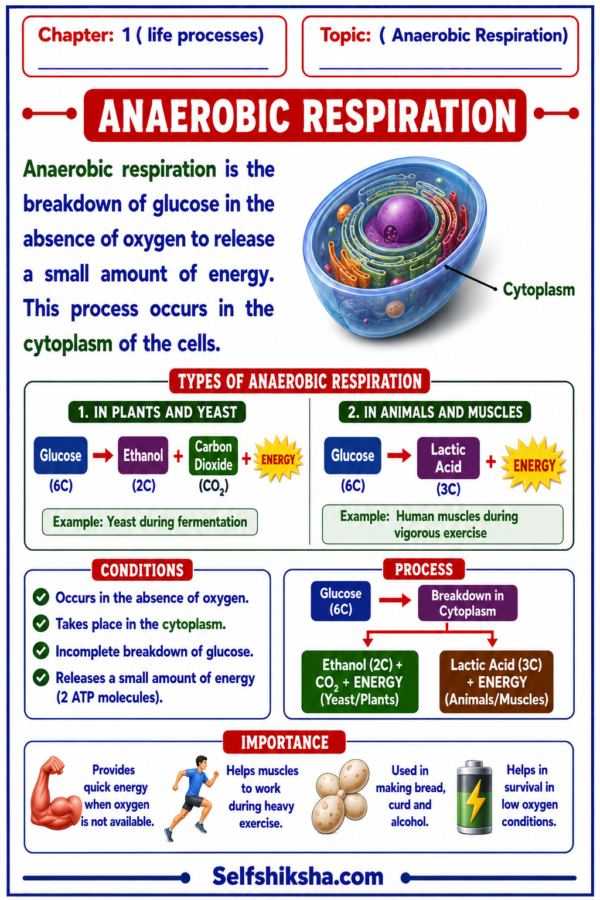 file_0000000080ec8211a46072d7ae0bf85e Class 10 Biology Colourful Notes PDF | CBSE & Bihar Board | Complete NCERT Based Study Notes