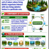 file_00000000820c8208a768a9b8a2fd2608 Class 10 Biology Colourful Notes PDF | CBSE & Bihar Board | Complete NCERT Based Study Notes