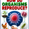 file_000000009de881f8bf3cfac64913894d Class 10 Biology Colourful Notes PDF | CBSE & Bihar Board | Complete NCERT Based Study Notes