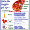 file_000000009f7882088f3b558dea9a834b Class 10 Biology Colourful Notes PDF | CBSE & Bihar Board | Complete NCERT Based Study Notes