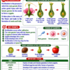 file_00000000acb081fd962db02a0b3618cf Class 10 Biology Colourful Notes PDF | CBSE & Bihar Board | Complete NCERT Based Study Notes