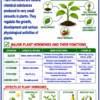 file_00000000b420820b9168142ea79c111b Class 10 Biology Colourful Notes PDF | CBSE & Bihar Board | Complete NCERT Based Study Notes