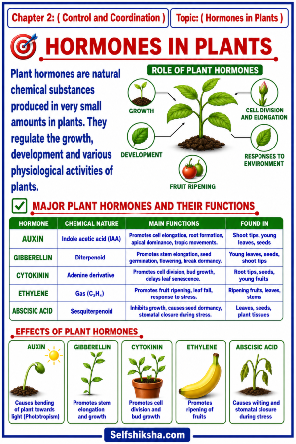 file_00000000b420820b9168142ea79c111b Class 10 Biology Colourful Notes PDF | CBSE & Bihar Board | Complete NCERT Based Study Notes
