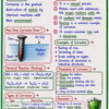 file_00000000bae48207aee79b36814badbc Class 10th Chemistry Colourful Handwritten Notes | English Medium | NCERT Based | Selfshiksha