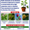 file_00000000bed881fa8eba7e1256e3bd0e Class 10 Biology Colourful Notes PDF | CBSE & Bihar Board | Complete NCERT Based Study Notes