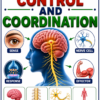 file_00000000c46c820baf93f2cbc4d52b04 Class 10 Biology Colourful Notes PDF | CBSE & Bihar Board | Complete NCERT Based Study Notes