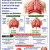 file_00000000d384821194085d7a7cc5a2ae Class 10 Biology Colourful Notes PDF | CBSE & Bihar Board | Complete NCERT Based Study Notes