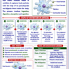 file_00000000f18081faa011f2750d8fb666 Class 10 Biology Colourful Notes PDF | CBSE & Bihar Board | Complete NCERT Based Study Notes