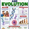file_00000000f3f08207b58483170a09efbd Class 10 Biology Colourful Notes PDF | CBSE & Bihar Board | Complete NCERT Based Study Notes