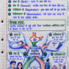 Class 8th Social Science Colourful Handwritten Notes | New NCERT Pattern | Selfshiksha.com